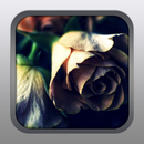 A Withered Flower APK