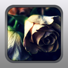 A Withered Flower icon