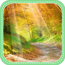 Autumn Scenery APK