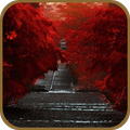 Autumn Streetscape