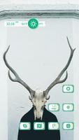 Animal Skull screenshot 1