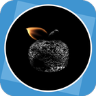 Black Apple icône