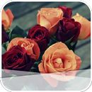 Bright Flowers APK