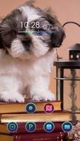 Curious Dog Ekran Görüntüsü 2