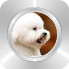 Cute White Puppy icono