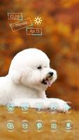 Cute White Puppy Affiche