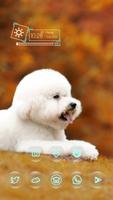 Cute White Puppy imagem de tela 2