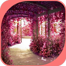 APK Deep Pink Flower in Garden
