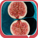 Fig on the Plate APK