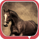 Fine horse APK