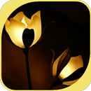 Flower Lamp APK