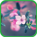 Flowers in the Dance APK