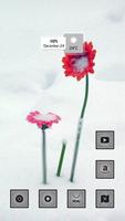 Flowers in the Snow 截图 1