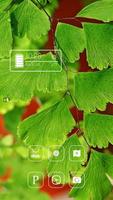 Green Ginkgo screenshot 2