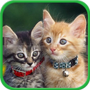 Intimate Partner APK