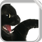 Lovely Black Cat icône
