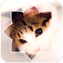 Lovely Cat APK