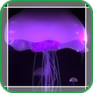 Pale Purple Jellyfish in Ocean