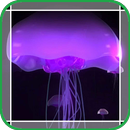 Pale Purple Jellyfish in Ocean APK