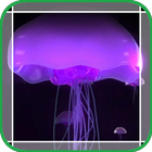 Pale Purple Jellyfish in Ocean icône