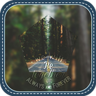 Road in Forest icon