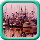 Ships dock in Harbor aplikacja