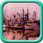 Ships dock in Harbor أيقونة