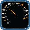 Speedometer Made by Animals