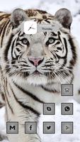 The White Tiger Affiche