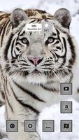 The White Tiger imagem de tela 1