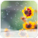 The Yellow Flowers APK