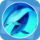 The Blue Dolphin ikon