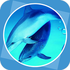 The Blue Dolphin icon