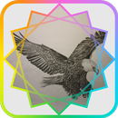 The sketch of the Eagle APK