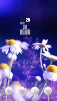 White Daisies Poster