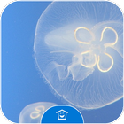 White Jellyfish icon