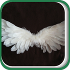 Icona White Wings