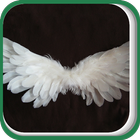 White Wings icône