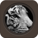 Wise Tiger APK