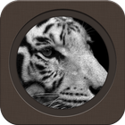 Wise Tiger icon