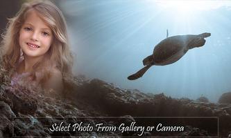 Turtle Photo Frame poster