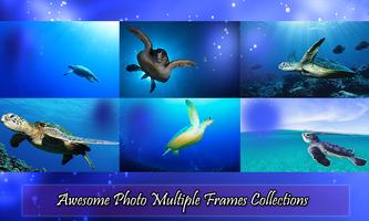 Turtle Photo Frame screenshot 2