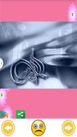 Toyor Aljanna New offline 2015 الملصق
