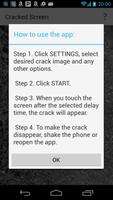 Cracked Screen پوسٹر