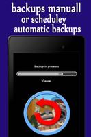 Backups Data screenshot 2