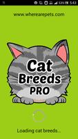 Poster Cat Breeds PRO