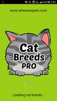 Cat Breeds PRO پوسٹر