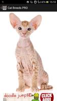 3 Schermata Cat Breeds PRO