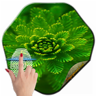 ikon Fingerprint Water Plant - Fake