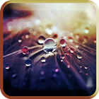 Water Drops Wallpaper icono